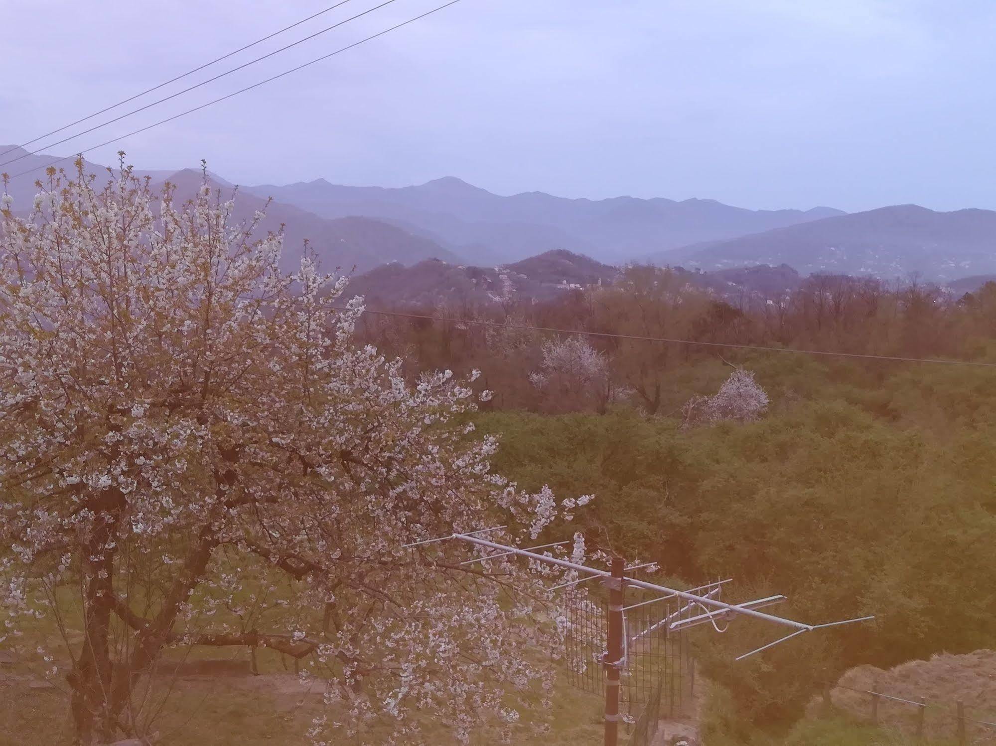 Locanda Primo Sole Leivi Buitenkant foto